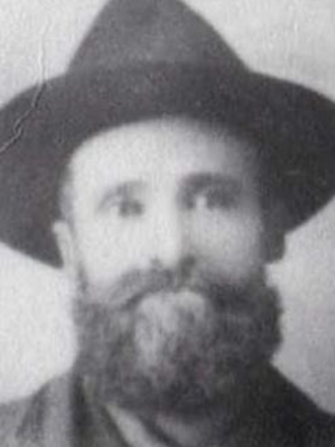 Charles William Robison (1841 - 1910) Profile